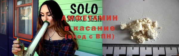 индика Бородино