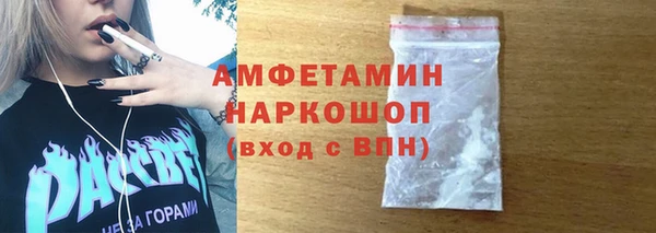 spice Богородицк