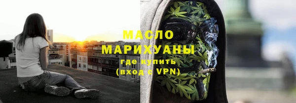 индика Бородино