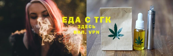 индика Бородино