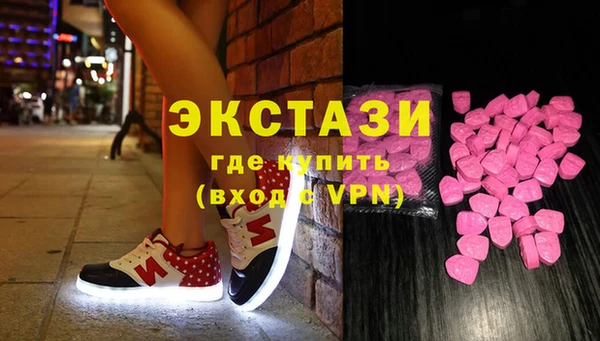 индика Бородино
