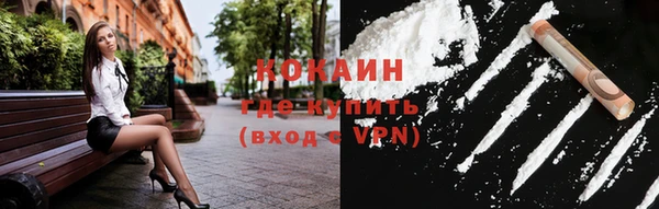 индика Бородино